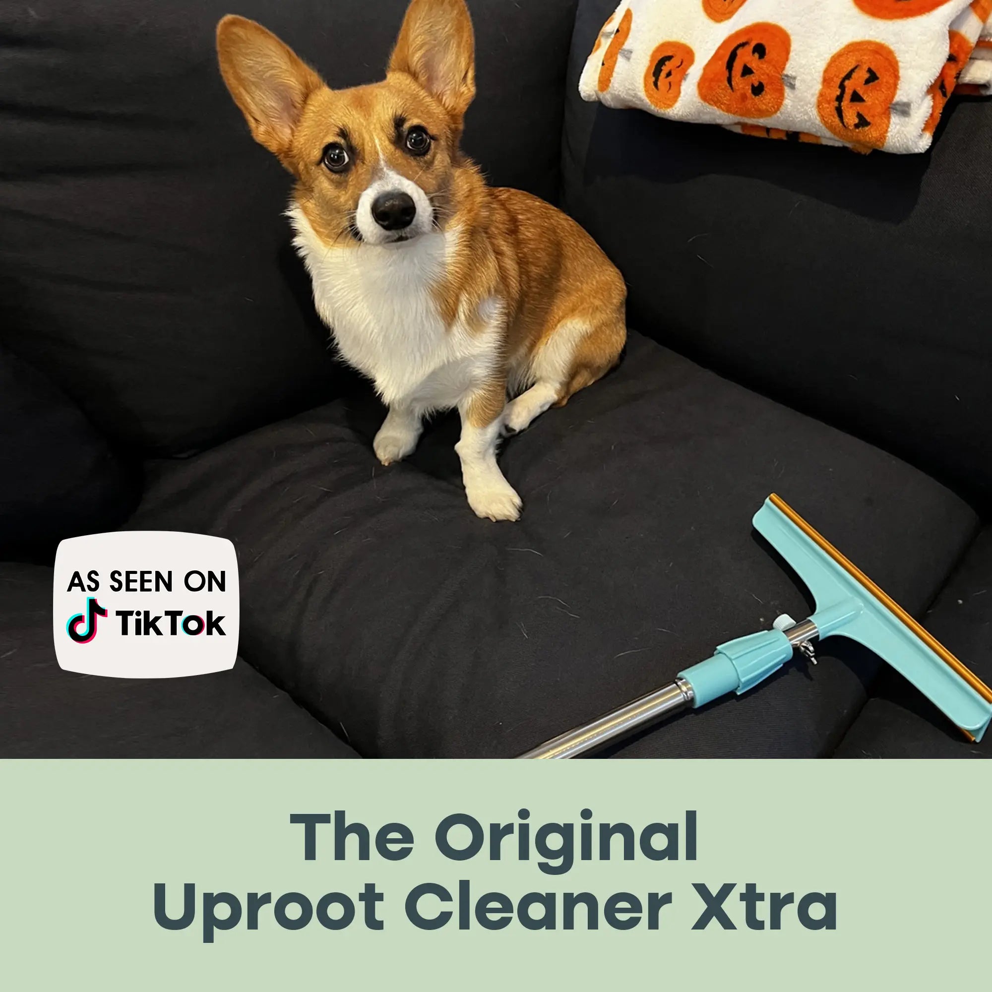 Uproot Cleaner Xtra - Pet Hair Remover for Floors & Surfaces - 60" Handle