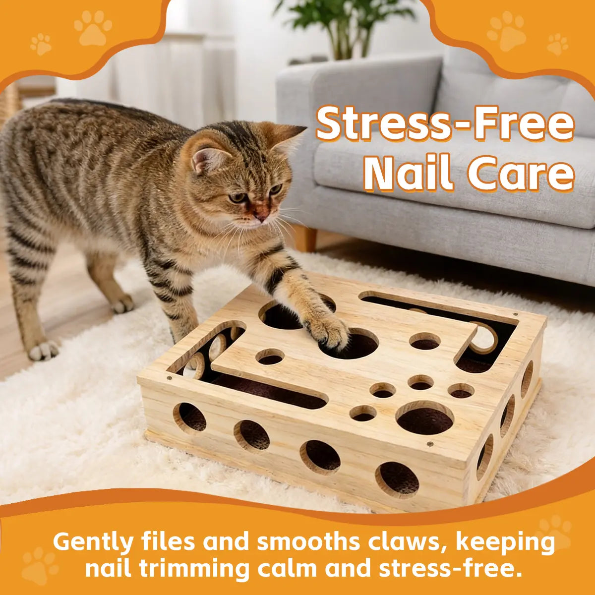 Cat Scratch Puzzle Enrichment Box Nail File Stress Free Alternative to Clippers and Grinders Durable Oak Wood Design for All Cat Ages Cat Toys