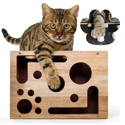 Cat Scratch Puzzle Enrichment Box Nail File Stress Free Alternative to Clippers and Grinders Durable Oak Wood Design for All Cat Ages Cat Toys