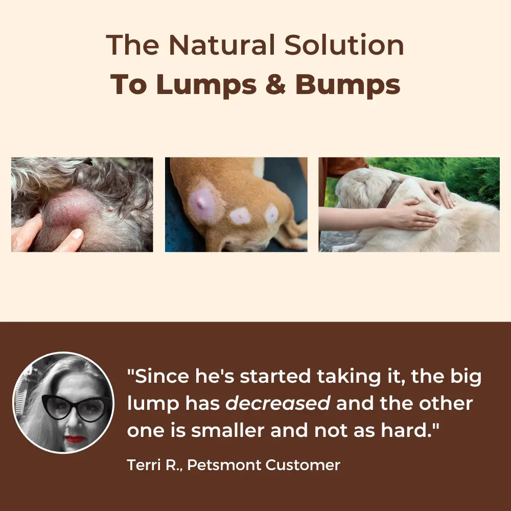 Petsmont Buddy Guard for Lumps and Bumps, Lipoma for Dogs & Cats with Organic 8 Mushroom Powder Blend Natural Dog Probiotic & Immune Support