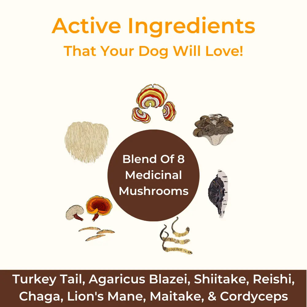 Petsmont Buddy Guard for Lumps and Bumps, Lipoma for Dogs & Cats with Organic 8 Mushroom Powder Blend Natural Dog Probiotic & Immune Support